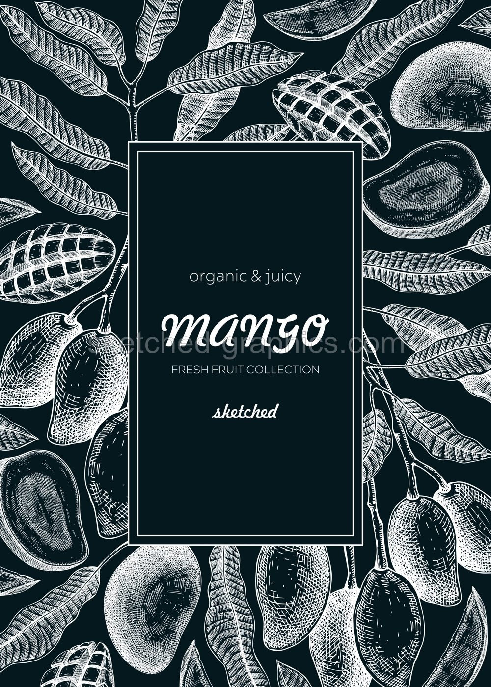 Fruit design template on chalkboard. Realistic mango hand-drawn vector illustration. Exotic fruit, mango tree branches, leaves sketches. Vintage frame, packaging, Healthy food. Summer design element Illustration